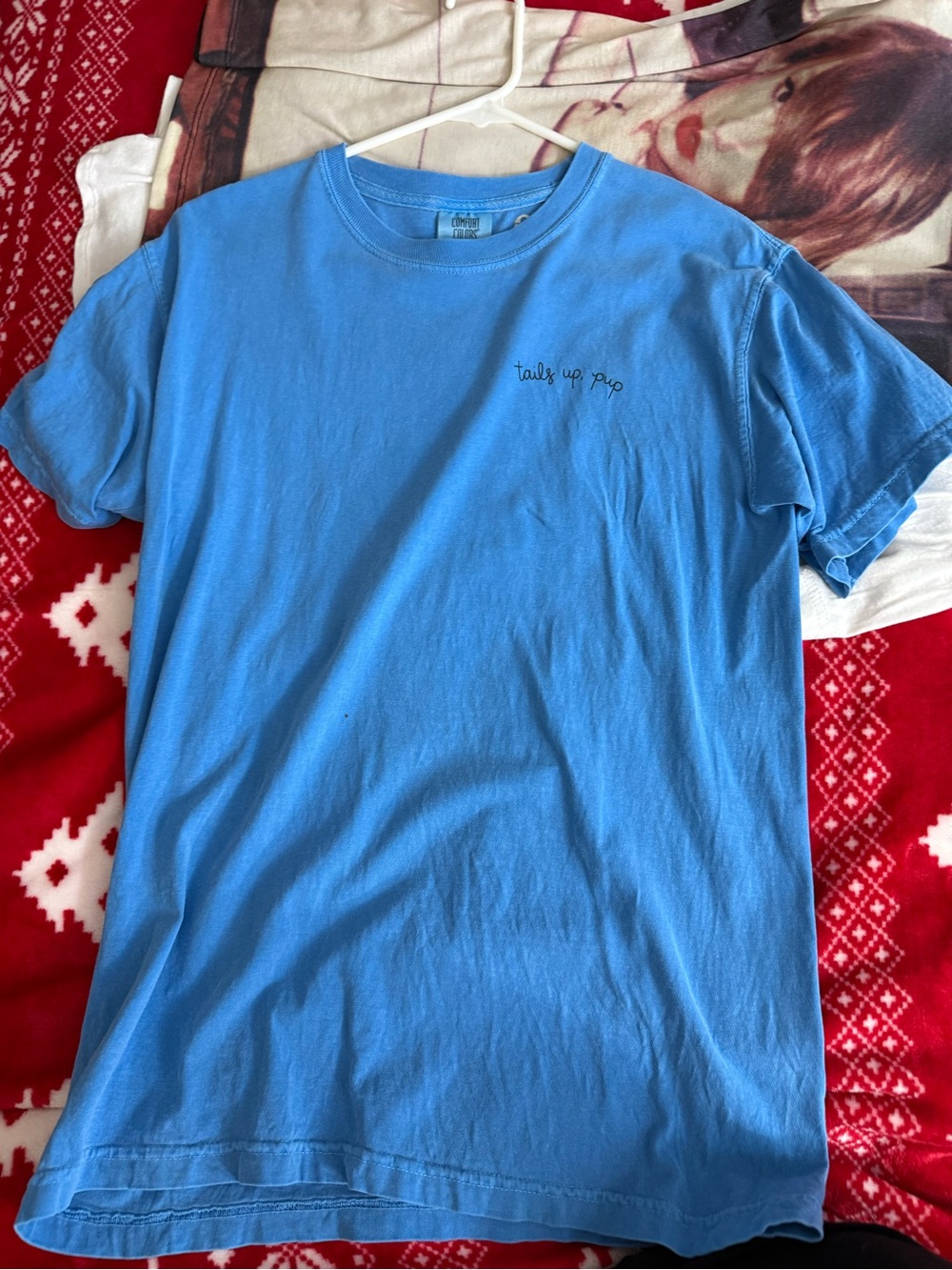 Comfort Colors Light Blue Crewneck Tee with Small Chest Script